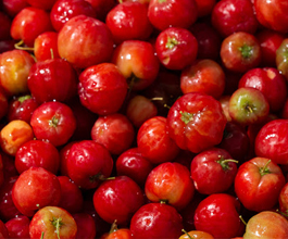 Acerola | Orange Citrus