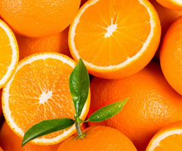 Laranja Orange Citrus